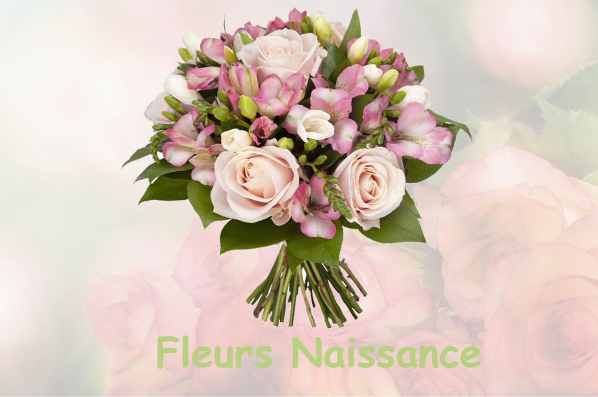 fleurs naissance CASTELNER