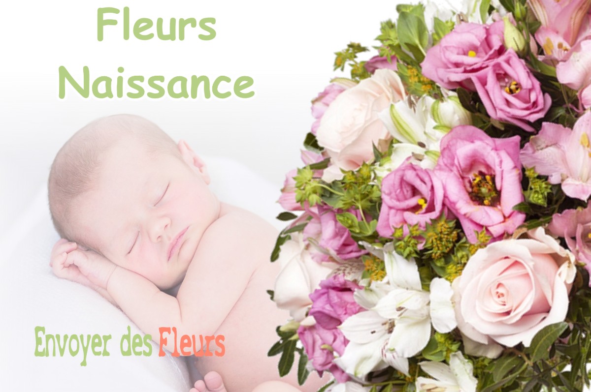 lIVRAISON FLEURS NAISSANCE à CASTELNER