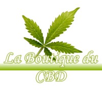 LA BOUTIQUE DU CBD CASTELNER 